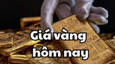 Giá vàng hôm nay 7/5/2025: Giá vàng trong nước và thế giới nhích nhẹ