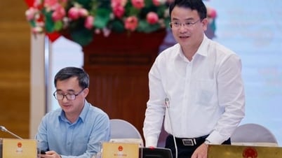 Doanh nghiệp thành lập mới tăng vọt: Thứ trưởng Bộ Tài chính chỉ rõ 4 nguyên nhân