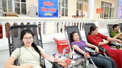 Nho Quan: Tiếp nhận gần 600 đơn vị máu trong Ngày hội Hiến máu tình nguyện
