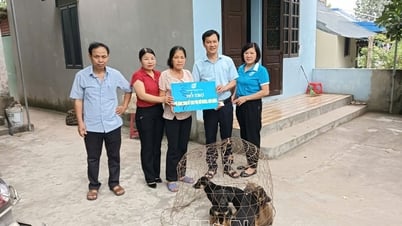 ផ្តល់​ជីវភាព​ដល់​ស្ត្រី​ជួប​ការលំបាក​ក្នុង​ស្ថានភាព​សេដ្ឋកិច្ច​លំបាក