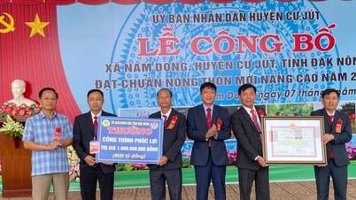 Another commune in Dak Nong meets advanced new rural standards