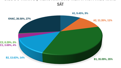 Results of the survey on English proficiency of teachers in Ho Chi Minh City: Which level has the highest rate?