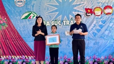 Plus de 400 millions de VND ont été attribués au personnage de Hoa Cuc Trang dans Lam Ha