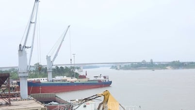 ท่าเรือไทยฮา - สถานที่เชื่อมโยงห่วงโซ่อุปทานและอุปสงค์ของธุรกิจ