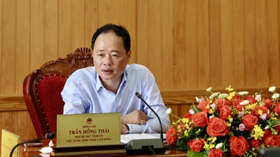 Chủ tịch UBND tỉnh Trần Hồng Thái làm việc với Công ty CP Tập đoàn Trường Hải