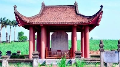 Bắt hai nghi phạm người Trung Quốc xâm phạm lăng mộ vua Lê Túc Tông