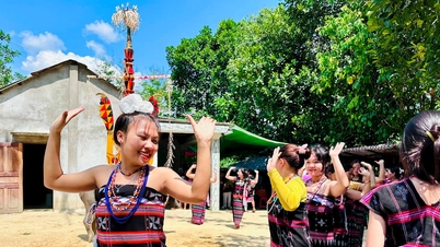 ការពង្រឹងការសម្របសម្រួលក្នុងការអនុវត្តគម្រោងស្តីពីសមភាពយេនឌ័រ និងកុមារ