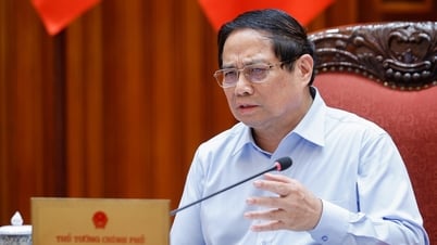 Prime Minister: Priority is given to economic violations not being prosecuted criminally, requiring remedial action