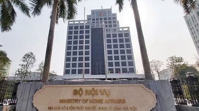 Giảm 20% biên chế không bao gồm viên chức giáo dục, y tế ở đơn vị không trực tiếp thực hiện sắp xếp