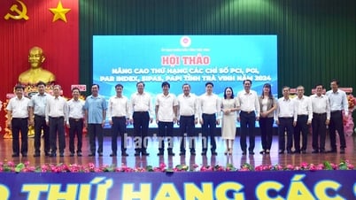 Tra Vinh 님은 6등급 상승, 1.48포인트 상승했습니다.