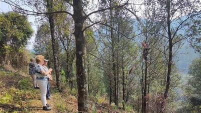 Cung đường trekking đẹp hoang sơ ít người biết ở Bình Liêu