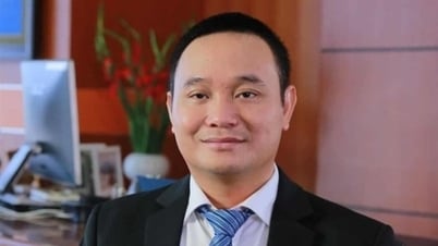 Vorübergehende Suspendierung der Position von Herrn Dao Nam Hai - Generaldirektor von Petrolimex