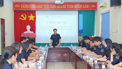 Chi cục Hải quan khu vực X làm việc về công tác hỗ trợ doanh nghiệp tại Ninh Bình