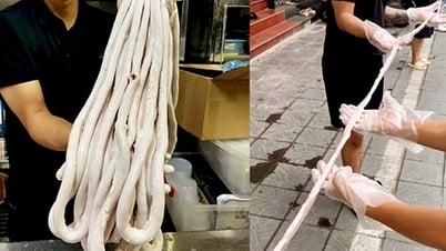 التحقق من منشأة صناعة السجائر: صاحب المتجر "كذب" بأن الـ 20 مترًا من الأحشاء كانت 40 مترًا.