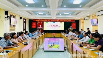 40 học viên được tập huấn nâng cao năng lực HTX nông nghiệp theo chuẩn và pháp luật