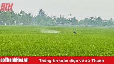 봄벼작물 보호 대책 추진에 집중