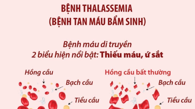 Cùng nhau vì Thalassemia: Đoàn kết cộng đồng, ưu tiên bệnh nhân