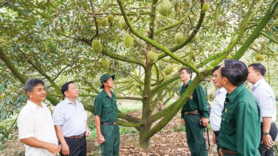 Ðoàn kết giúp nhau giảm nghèo