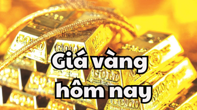 Giá vàng hôm nay 8/5/2025: Giá vàng trong nước bật tăng theo giá vàng thế giới