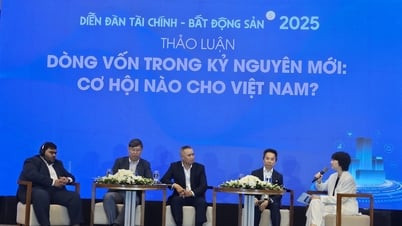 성장을 위해 투자 흐름을 선택적으로 조정합니다.
