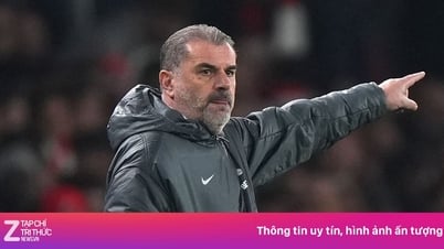 HLV Tottenham mỉa mai Wenger