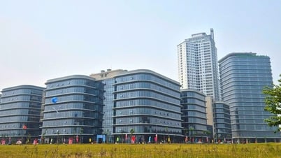Đà Nẵng: Trung tâm tài chính sẽ tập trung các lĩnh vực chuyên biệt