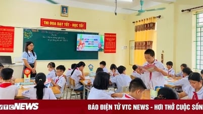 Trường học có bị sáp nhập sau khi bỏ cấp huyện?