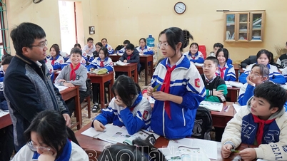 Muchos estudiantes eligen la formación vocacional después de graduarse de la escuela secundaria.
