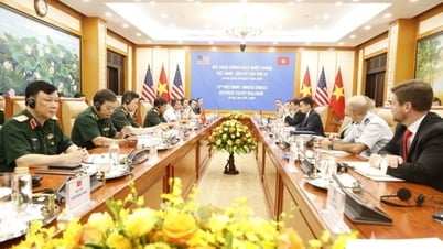 13th Vietnam - US Defense Policy Dialogue: Cooperation for Peace and Development