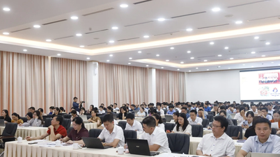 Sở Giáo dục và Đào tạo tập huấn về đổi mới công tác thi đua - khen thưởng
