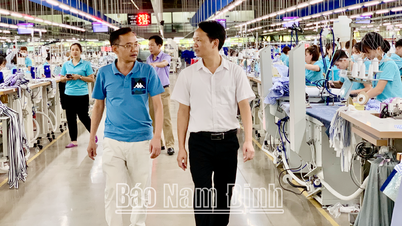Truc Ninh promotes modern and sustainable rural economic development