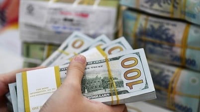 Tỷ giá VND/USD tăng tại nhiều ngân hàng