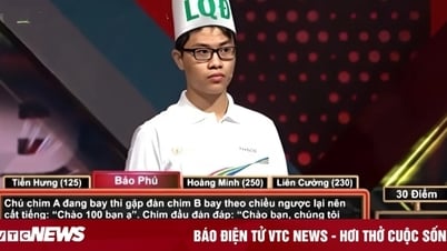 Bài toán tính số chim, 'đánh gục' 4 thí sinh Đường lên đỉnh Olympia