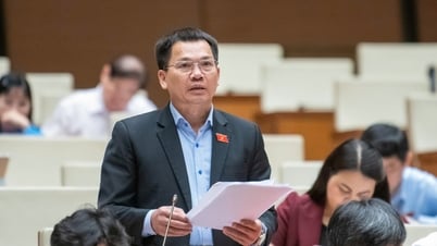 Đại biểu Dương Khắc Mai: Làm rõ hơn giá trị pháp lý của phiếu kiểm soát mua, bán hóa chất
