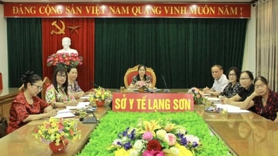 សេចក្តីសង្ខេបនៃគម្រោងចម្លងគំរូក្លឹបជួយខ្លួនឯងអន្តរជំនាន់ - កាសែតឡាងសឺន និងស្ថានីយ៍វិទ្យុ និងទូរទស្សន៍
