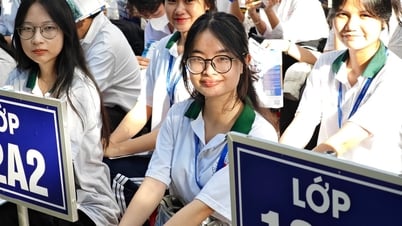 Thi tốt nghiệp THPT 2025: Hơn 50% học sinh TP.HCM chọn môn ngoại ngữ