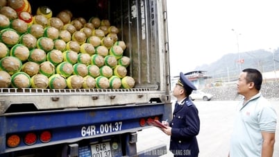 Từ ngày 8/5: Lạng Sơn áp dụng phí hạ tầng cửa khẩu theo quy định mới - Báo và Đài Phát thanh Truyền hình Lạng Sơn