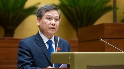 Đề xuất thành lập Tòa án nhân dân khu vực, Tòa chuyên trách về Phá sản, Sở hữu trí tuệ