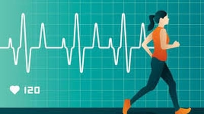 Nhịp tim 37 nhịp/phút có tham gia chạy marathon được không?