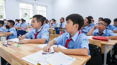 Liệu cơm gắp mắm