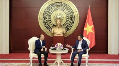 Diskussion konkreter Maßnahmen zur Förderung der substanziellen Zusammenarbeit zwischen Guangxi (China) und vietnamesischen Gemeinden