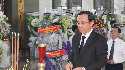 Bí thư Thành ủy TPHCM Nguyễn Văn Nên viếng Giáo sư, Tiến sĩ Đặng Lương Mô