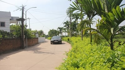 Khẩn trương hoàn thiện hồ sơ thẩm định, công nhận các danh hiệu nông thôn mới