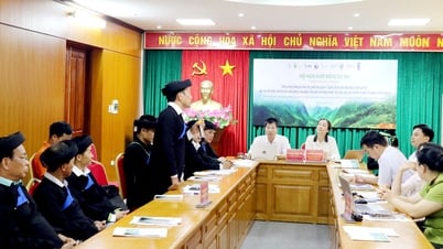 Khởi động Dự án bảo tồn, phát huy giá trị Quần thể di sản chè Shan tuyết cổ thụ