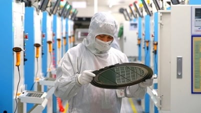 改正化学物質法：専門工業団地の形成に向けた指針