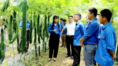 កម្មវិធីទស្សនា និងស្វែងយល់អំពីគំរូនៃការចាប់ផ្តើមអាជីវកម្មរបស់សមាជិកសហជីពយុវជន