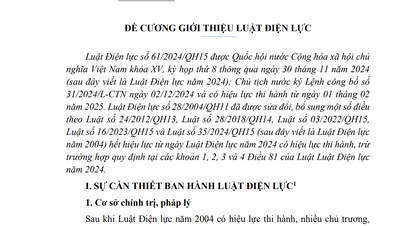 Outline of introduction to Electricity Law