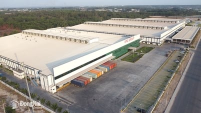 Nâng cao hiệu quả quản lý điều hành các khu công nghiệp ở Đồng Nai