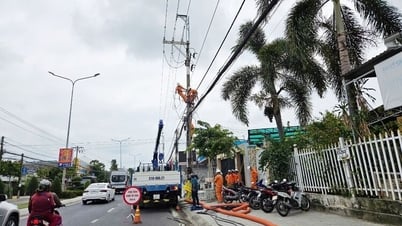 Trả lời kiến nghị cử tri huyện Châu Phú về lĩnh vực điện