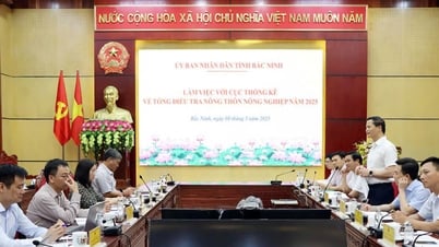 Bac Ninh führt die ländliche und landwirtschaftliche Volkszählung 2025 entschlossen durch